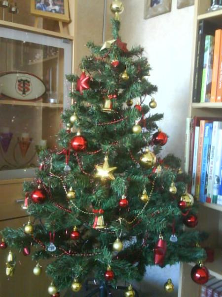 mon 1er sapin de no&euml;l.